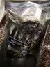 鲟食 新西兰黑金鲍 大鲍鱼高端食材生鲜海鲜水产过节送礼 新西兰黑金鲍 400-500g/只 实拍图