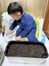 水生田懒人自吸水花盆家用蔬菜种植神器长方形塑料大花盆家庭阳台种菜箱  【水滴大款】吸水懒人盆4个 实拍图