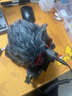 LENSGO 朗诗歌 DMM1手机麦克风直播vlog采访相机外接话筒录收音设备 DMM1+苹果Lightning转接头 官方标配 实拍图