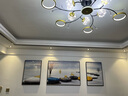 墨派 客厅装饰画现代简约沙发背景墙壁画石来运转三联画福鹿轻奢晶瓷画手工立体镶钻挂画新中式山水画免打孔 石来运转 中套(左右50x70+中间100x70)晶瓷镶钻画 实拍图