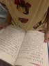 四季读不停·会飞的伙伴  入选小学《语文》教材，连续三年入选亲近母语小学生分级阅读书目  实拍图