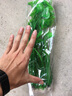 朴彩仿真水草水族箱鱼缸造景仿真水草生态装饰高仿真生态鱼缸装饰植物 绿色-1 实拍图