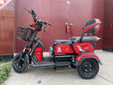 凤凰（Phoenix）炫酷电动三轮车家用小型老年代步电动车三轮车老人休闲电瓶车 600W+48V12A铅酸+续航约40里 实拍图