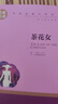秒杀专区 茶花女书籍 正版原著小仲马名家名译世界文学名著中文版 青少年初高中学生小学生课外阅读名著 实拍图