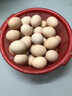 我老家新鲜大鹅蛋 农家自养土鹅蛋 现捡现发 鹅蛋6枚（140-160g) 实拍图