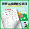 阳光同学 2026春新 课时优化作业 三年级下册 语文+数学人教版【两本套】 小学生同步教材练习册随堂课课练提优训练 实拍图