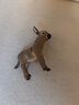 思乐（Schleich S）新年礼物仿真农场家禽动物模型羊驼猪兔羊驴猪火鸡男女孩儿童玩具 小驴13746 实拍图