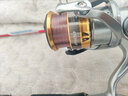 DAIWA2019年新款 TATULA尼龙线 蜘蛛钓鱼线 日本进口渔线 路亚主线母线 棕色 2号 实拍图