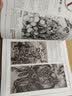 幻想速写：全球50位天才画家的私房创作手稿 迪士尼、好莱坞 全球50位一线动画插画设计师的创作技巧教学 实拍图