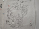 白描花卉写生集 实拍图