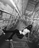 绫天生丝滑绫lingerie「绊」3D超薄性感撞色绑带诱惑腿环一体吊带袜夏季丝袜 Black黑色 1双 均码 -吊带版 实拍图