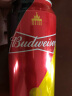 百威（Budweiser）淡色拉格啤酒 450ml*18听 整箱装 （新老版本随机发货）国庆送礼 实拍图