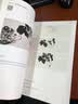 中国画国画入门技法教程技有所承画蔬果八所美术学院老师联合推荐从入门到提高的国画教程图解视频讲座临摹创作赏析蔬果绘画基础入门 实拍图