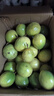 鲜青录广西黄金百香果钦蜜9号新鲜水果黄色白香果西番莲鸡蛋果 5斤霸王果(单果90+) 实拍图
