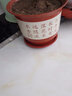 青意宣 新款塑料花盆山水花盆室内客厅阳台育苗盆景防陶瓷树脂花盆含托盘 W310 实拍图