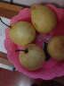 菲农 黄金鸭梨 5斤 单果300g以上 8枚 白鸭梨 脆甜冰糖雪梨 新鲜水果 实拍图