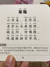 阳光宝贝 0-6岁早教撕不烂全卡 看图儿歌 实拍图