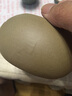 矜瓷 茶叶罐 陶瓷大号密封罐小号红茶普洱茶罐粗陶存储罐茶叶桶 悟道茶叶罐 实拍图