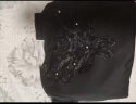 凡摩乔单件装 加绒新款女打底衫黑色蕾丝长袖t恤内搭上衣 213（春秋薄款） 2XL码【115-130斤】 晒单实拍图