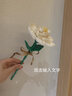 哲高积木花束永生花玫瑰拼搭花卉装饰摆件送女生闺蜜伴手礼母亲节礼物 向日葵-122颗粒 实拍图