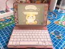 新爵 2019新款苹果ipad mini2 345蓝牙键盘鼠标套装防摔保护套迷你5平板7.9金属背光 玫瑰金【七彩背光款】 ipad mini4 【配鼠标】 实拍图