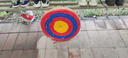 HUWAIREN箭靶草靶反曲弓箭传统弓复合弓训练射箭eva靶架靶射箭器材挡箭布 圆形箭靶直径50cm厚度6cm 实拍图