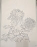 范本传真·白描花卉写生范本：百菊谱 实拍图