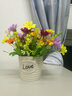 伊芙美小雏菊仿真花假花盆栽花艺摆件客厅家居餐桌办公室桌面装饰品摆设 28头红莲黄雏菊+陶瓷love瓶 实拍图