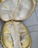 泰国进口金枕头榴莲 2.5-3kg 1个装 新鲜水果 实拍图