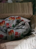 紫玉 板栗仁 家庭分享装 25袋净含量共500g 休闲零食栗子 20g x 25袋共500g 晒单实拍图