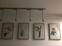 佑圣新中式客厅装饰画晶瓷画客厅简约三联画卧室沙发背景墙壁画兰花 梅兰竹菊四君子 40*60拉丝亮钛金【晶瓷画】 实拍图