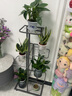 蜗家（WOJIA）花架户外客厅阳台家用装饰架简约花盆架多肉架庭院花架绿萝架层架 深灰【5层可放6盆】 实拍图