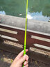 木丁丁鲫鱼竿超轻超细 短节鱼竿 手竿碳素超硬 鲤鱼竿 台钓竿37调杆 3.6m 罗汉竹鲫鱼竿（送竿稍） 实拍图