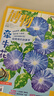 1-7月现货 博物杂志 青少年科普百科知识 儿童科普大百科期刊 中小学生通识教育课外阅读 中国国家地理青春版杂志铺单本/半年/全年订阅2024/2025年1月-6月/7月-12月任选非过刊博物君张辰亮 实拍图