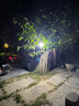 语琴夜市摆摊照明灯地摊超亮无线磁吸露营灯户外超长续航应急充电灯泡 102颗灯珠遥控磁吸/100h 实拍图