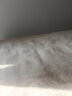 巢歌 【A类雕花】 牛奶绒四件套秋冬加绒加厚双面防静电保暖床上用品 实拍图