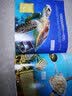 童眼识天下：海洋动物（升级版） 实拍图