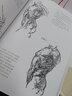 伯里曼人体结构绘画教学（白金版） 实拍图