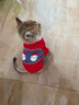 华元宠具（hoopet）猫咪衣服春节过年毛衣秋冬保暖冬季猫衣服防掉毛宠物新年国潮棉衣 【新年】老头毛衣（偏大） XS：胸围30cm【建议1-3斤】 实拍图
