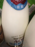 每日鲜语4.0g蛋白质低脂鲜牛奶 鲜奶定期购体验装 高品质巴氏杀菌乳720ml 实拍图