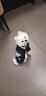 SLPC狗狗衣服小型犬泰迪衣服两脚卫衣猫咪服装比熊博美法斗宠物衣服 藏青色 L（6-8.5斤左右） 实拍图