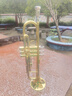 星海（XINGHAI INSTRUMENT）降b调小号乐器 XT-100/120学生考级儿童初学入门款学校乐队通用 升级XT-120型-白铜变音管 实拍图
