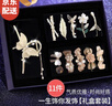 晓色蝴蝶发夹女礼盒高级后脑勺发饰发卡刘海夹头绳精致情人节生日礼物 H065一生饰你发饰11件套【礼盒装】 实拍图