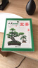 盆景 收藏赏玩指南 盆景艺术赏析图解 盆景收藏赏析书籍 树木盆景种植栽培制作书籍 实拍图