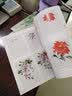 新编养心斋描摹画谱 小写意花卉2 实拍图
