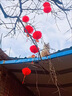 迪普尔植绒小灯笼三连串挂饰新年装饰挂树上大红灯笼户外防水元宵节布置 实拍图