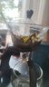正扬玻璃自动茶具懒人整套磁吸茶壶防烫高档泡茶器功夫杯茶盘套装家用 自动(迎客)+金色把杯 实拍图