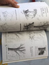 素描完全入门教程 实拍图