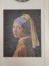 史历克 数字油画DIY世界大师名作合集1手工涂色画创意减压填色油画 少女（维米尔）FZ-1150 40*50cm 彩布(要自己涂色) 实拍图
