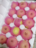 采鲜惠 山东烟台黄元帅苹果粉面苹果 黄香蕉金帅苹果新鲜水果 小果13-14个 约5斤 75mm 实拍图